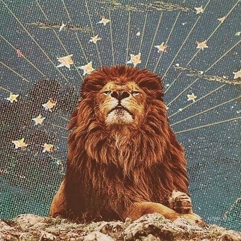 Wannawave (@wannawave) on Twitter photo 