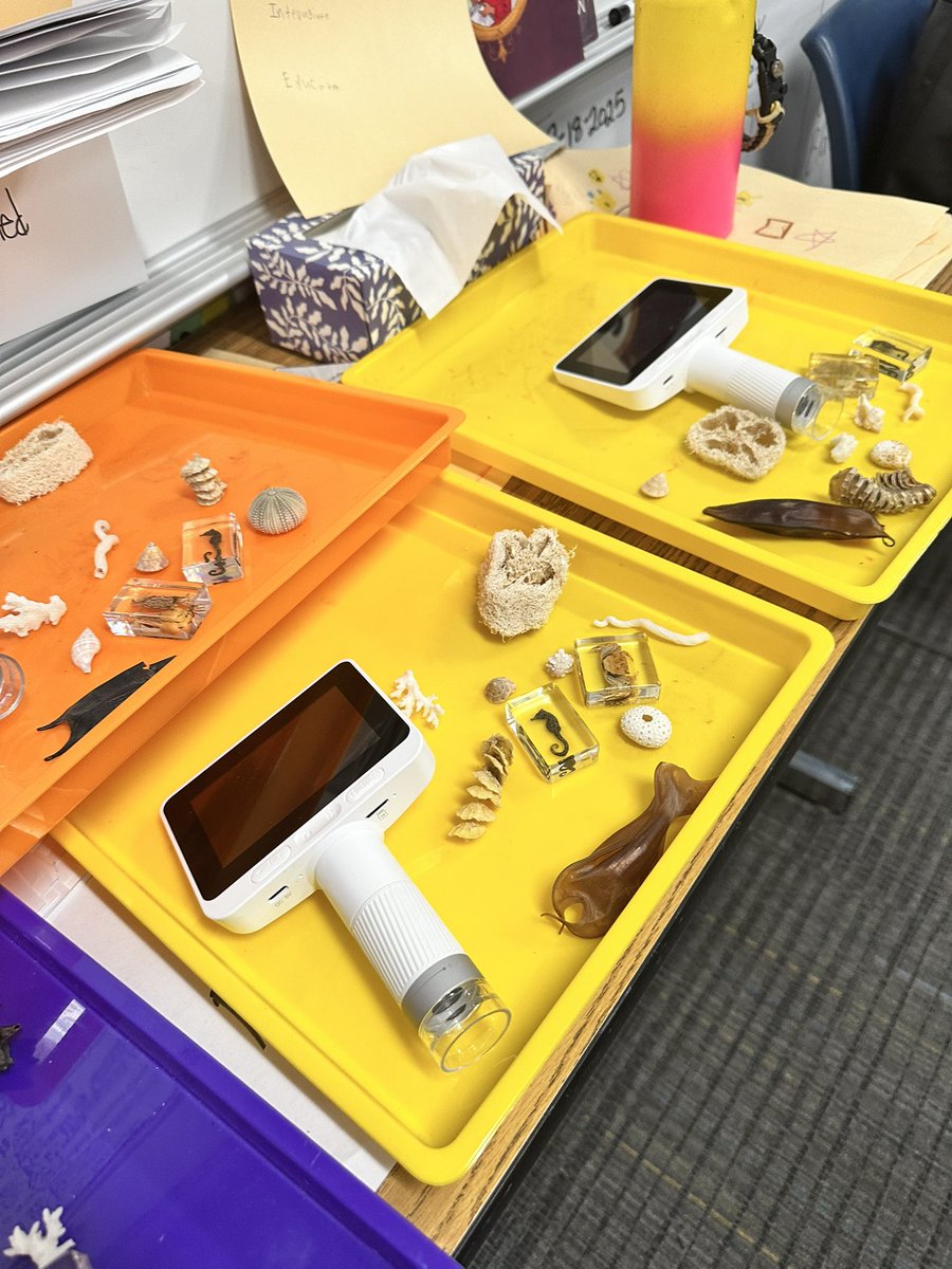 tmcgee2245's tweet image. #day29 #readingtest #mathtest #8extrasfortheday
#sotired @tmcgee2245 @OPS_WilsonFocus 
Zoo club meets in my room for enrichment and it’s always cool!