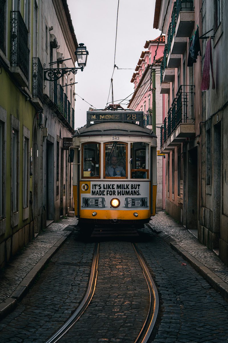 "Sem Título"
Dmitry Voronov
Lisbon, Portugal