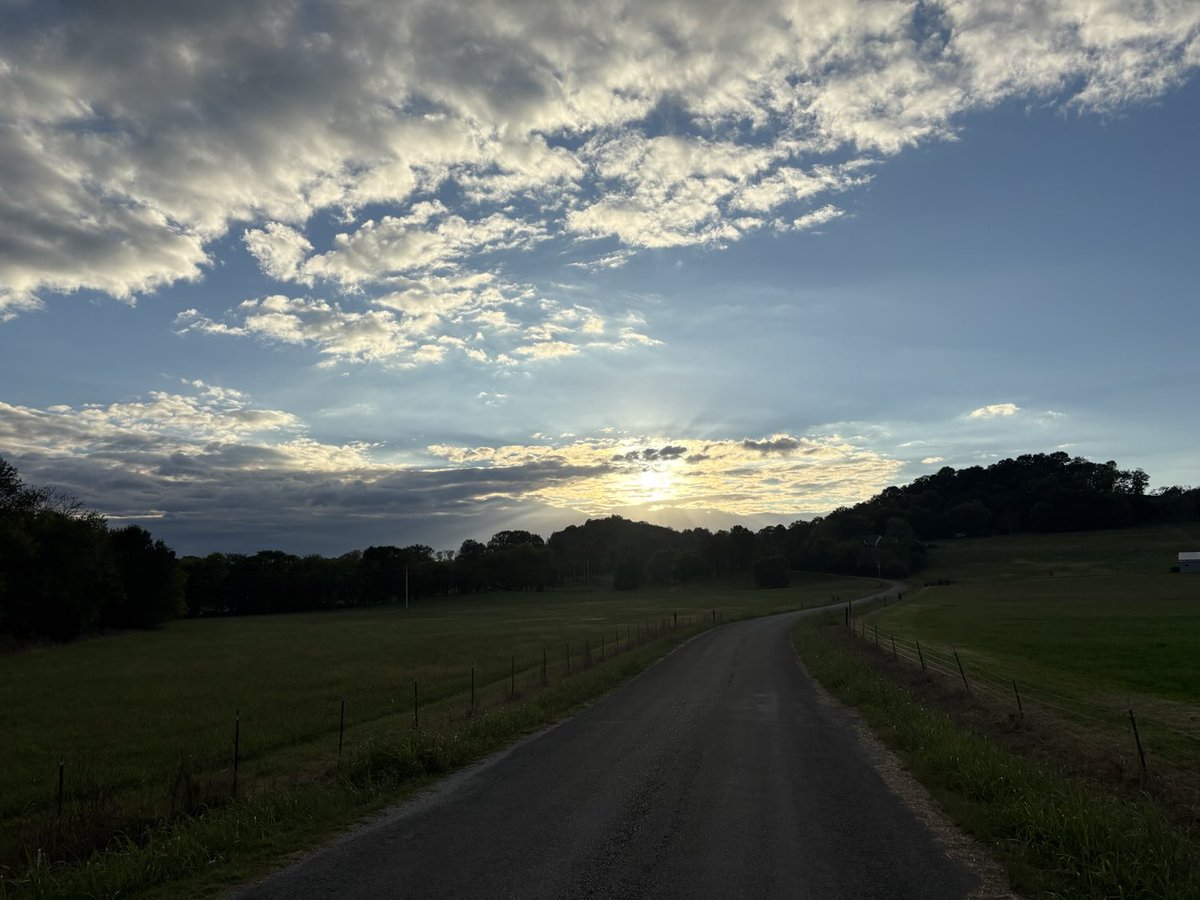 Nice day for a walk here in MuleTown