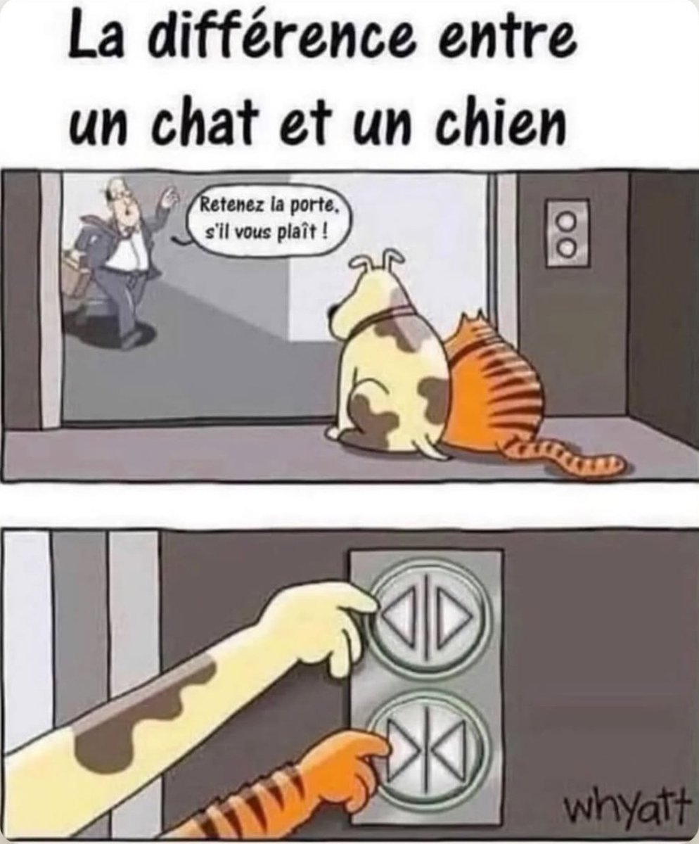 _Spartiat's tweet image. #TeamChat