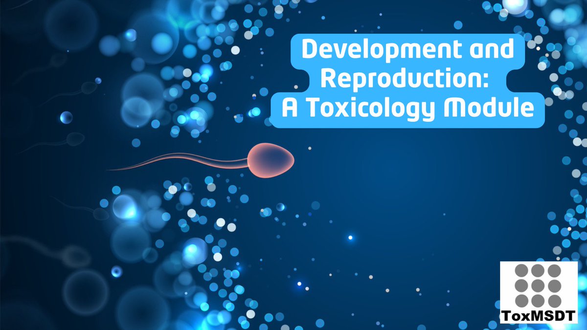 toxmsdt's tweet photo. How do toxicants impact reproduction and development? This ToxMSDT module explores effects on reproductive organs and developing fetuses, including the impact of ethanol and forever chemicals.
https://t.co/TEneEKmi8d @SOToxicology https://t.co/eiQ9Sq5FJJ