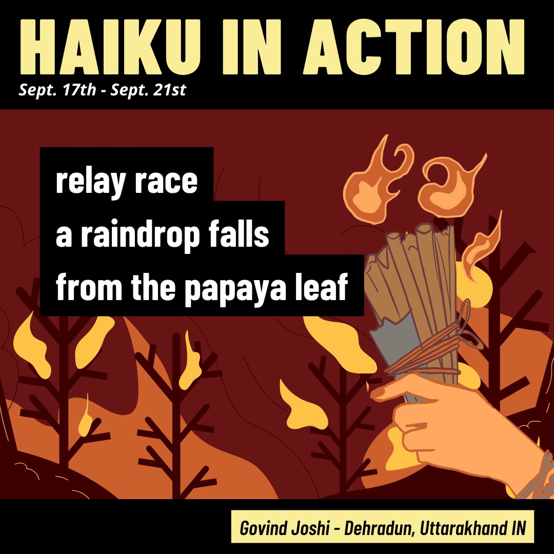 Nick Virgilio Haiku Association tweet media