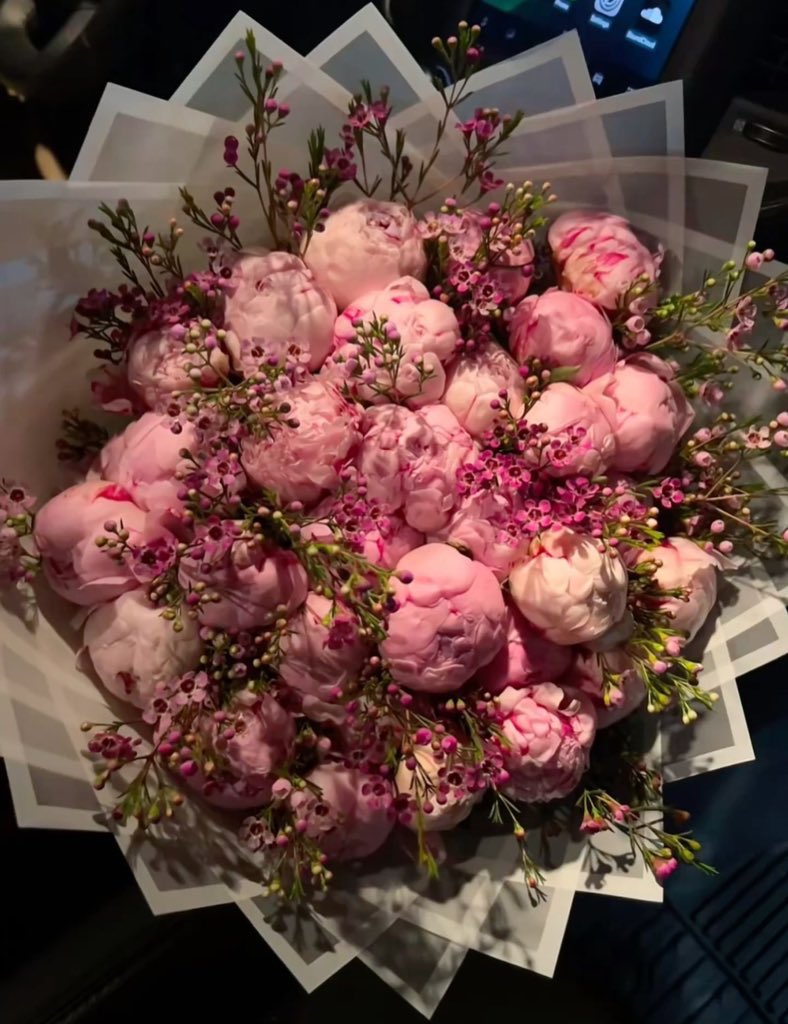 i3Moment's tweet photo. Peonies https://t.co/QIOUfKQWhw