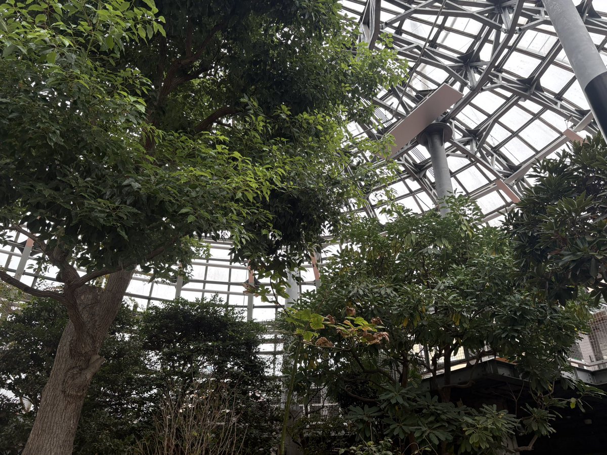 通勤路の植物園🪴
明日から毎朝立ち寄ろう♪
#産能通信 #産業能率大学 #通信制大学 #産能短大