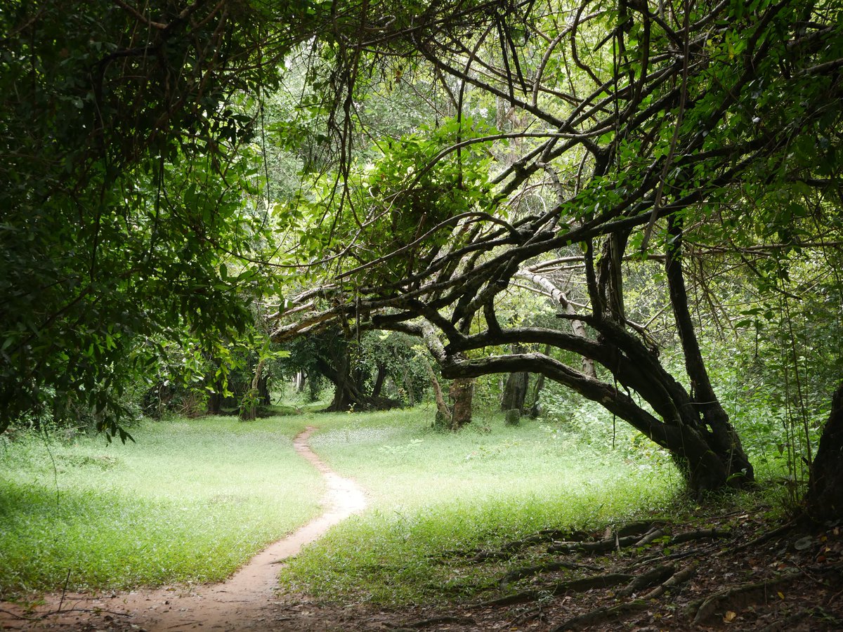 hangleang tweet media