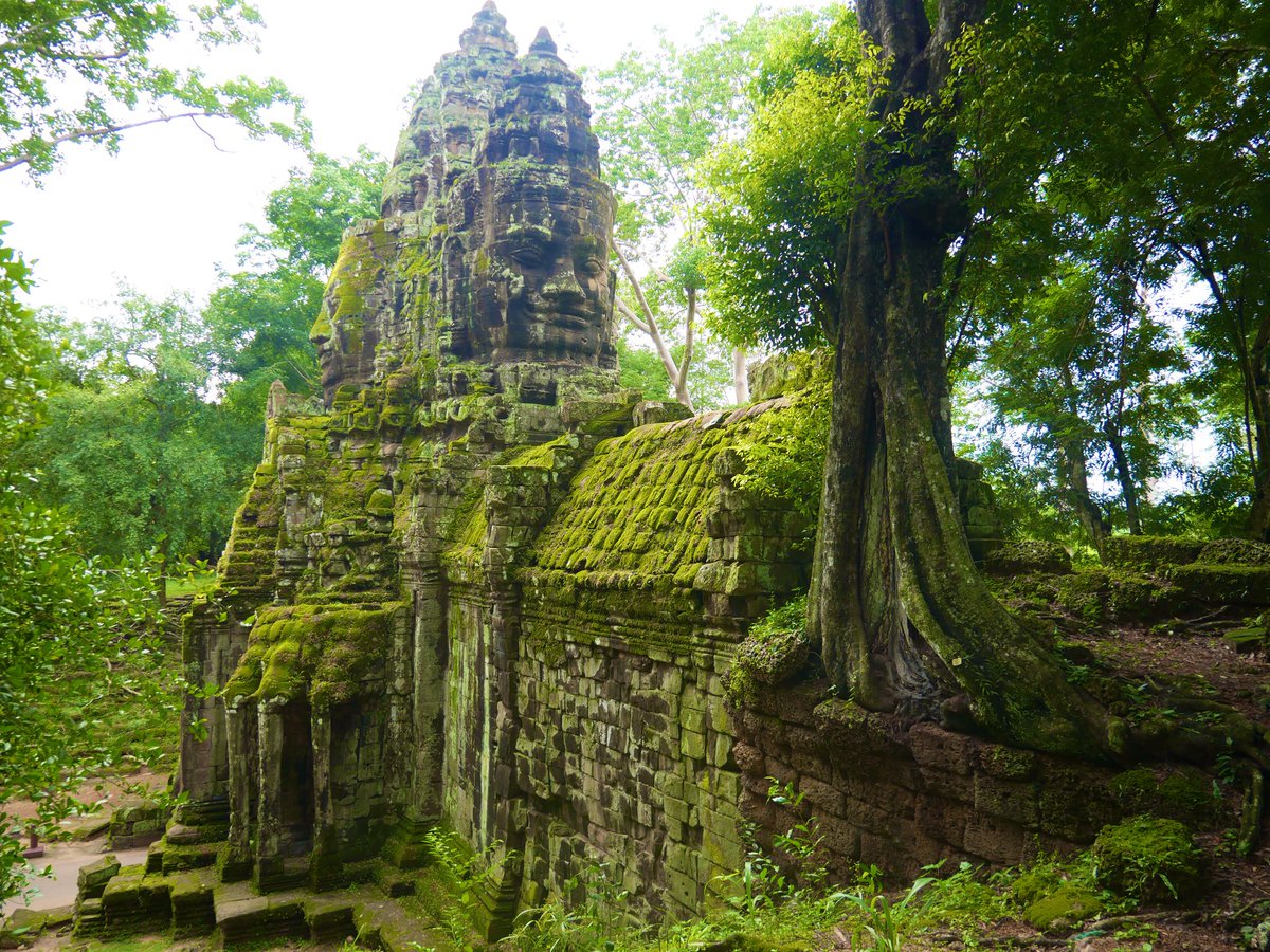 hangleang tweet media