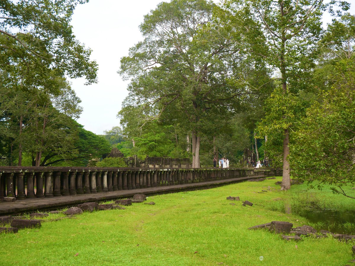 hangleang tweet media