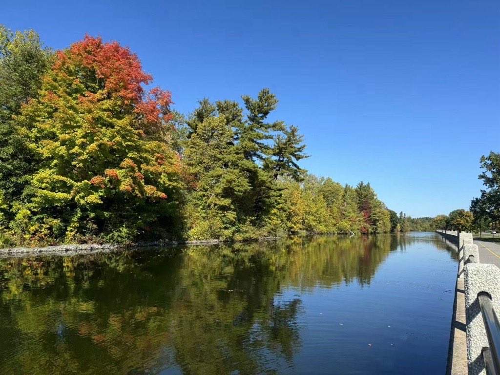 UOHIResearch's tweet image. Day 23–26: We may have forgotten to post BUT not to keep our hearts healthy! ❤️ 

Research Admin’s Bo hit the trails with her family and clocked well over 30 mins of movement each day. Stay tuned for Days 27–30!
jumpinnow.ca