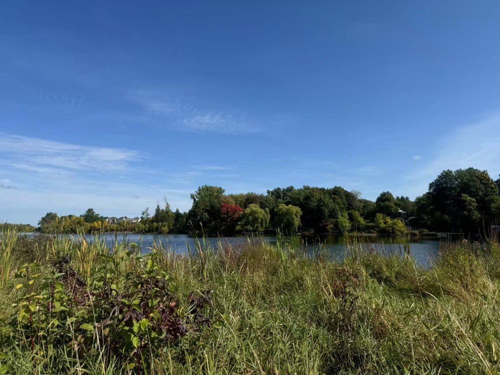 UOHIResearch's tweet image. Day 23–26: We may have forgotten to post BUT not to keep our hearts healthy! ❤️ 

Research Admin’s Bo hit the trails with her family and clocked well over 30 mins of movement each day. Stay tuned for Days 27–30!
jumpinnow.ca