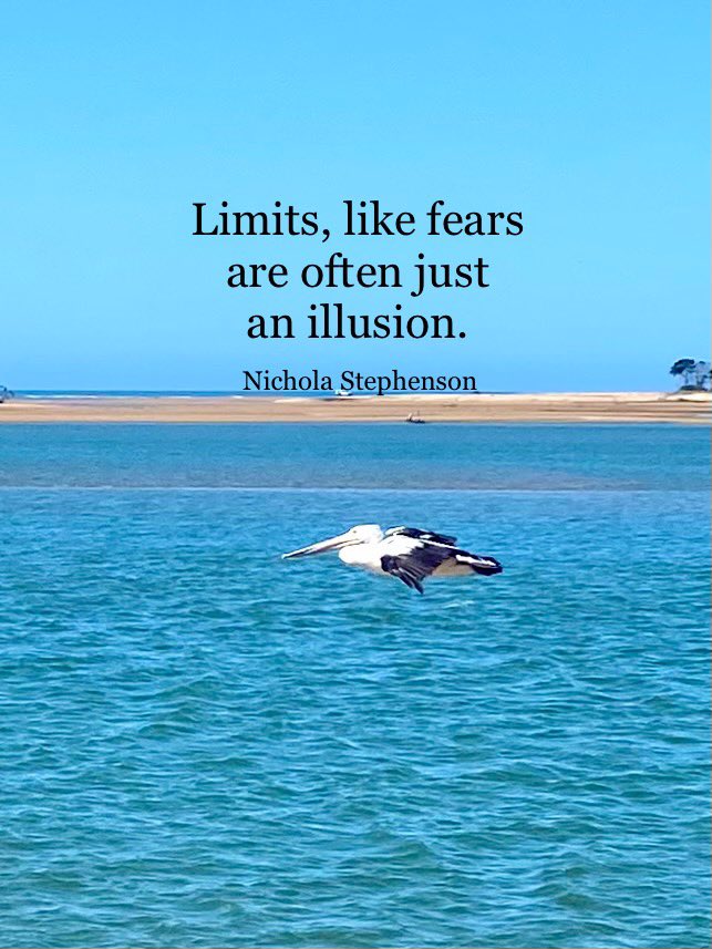 Nichola L Stephenson tweet media