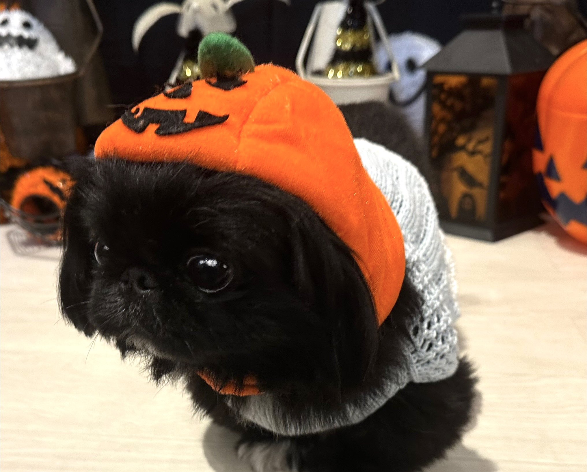 ご確認ページです♡ハロウィン♡ らぶしっく on X: 