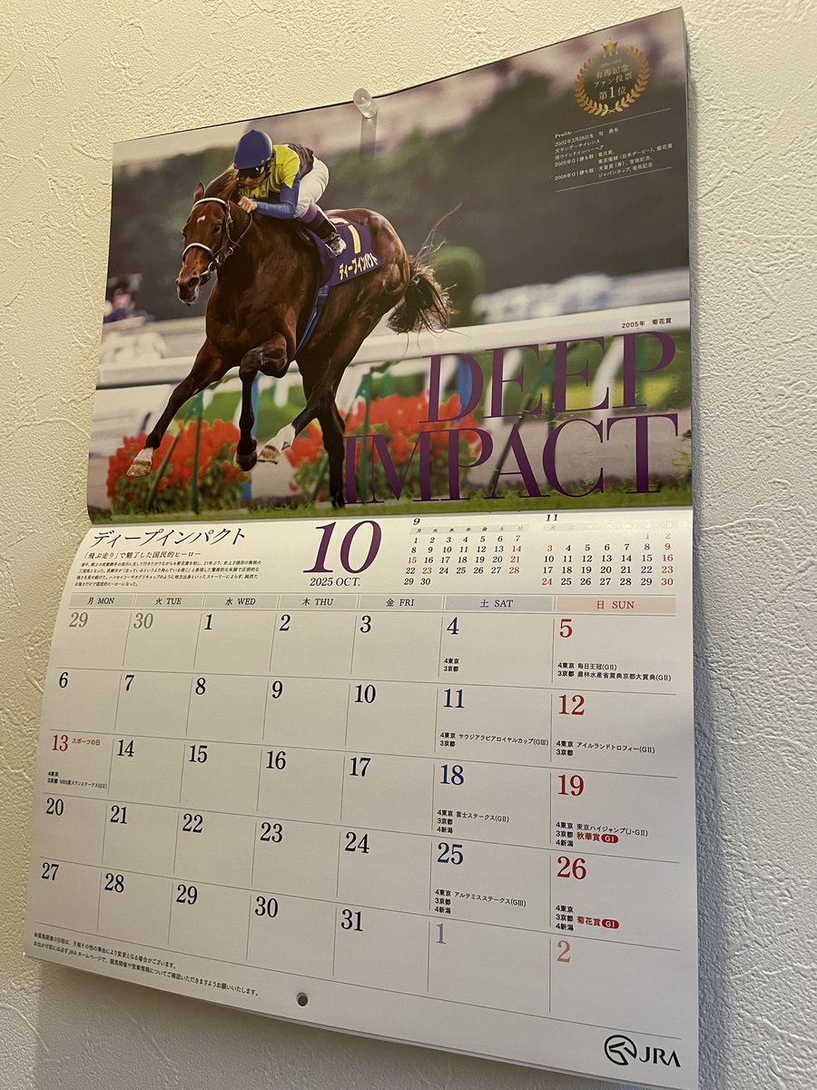 superwildgunman's tweet image. 今月の名馬。ボクが初めて馬券を買った馬。友人に、3連単って買い方があって1着はこの馬で確定だからと言われて2.3着馬を真剣に考えた2005年のクリスマス🎄
#有馬記念