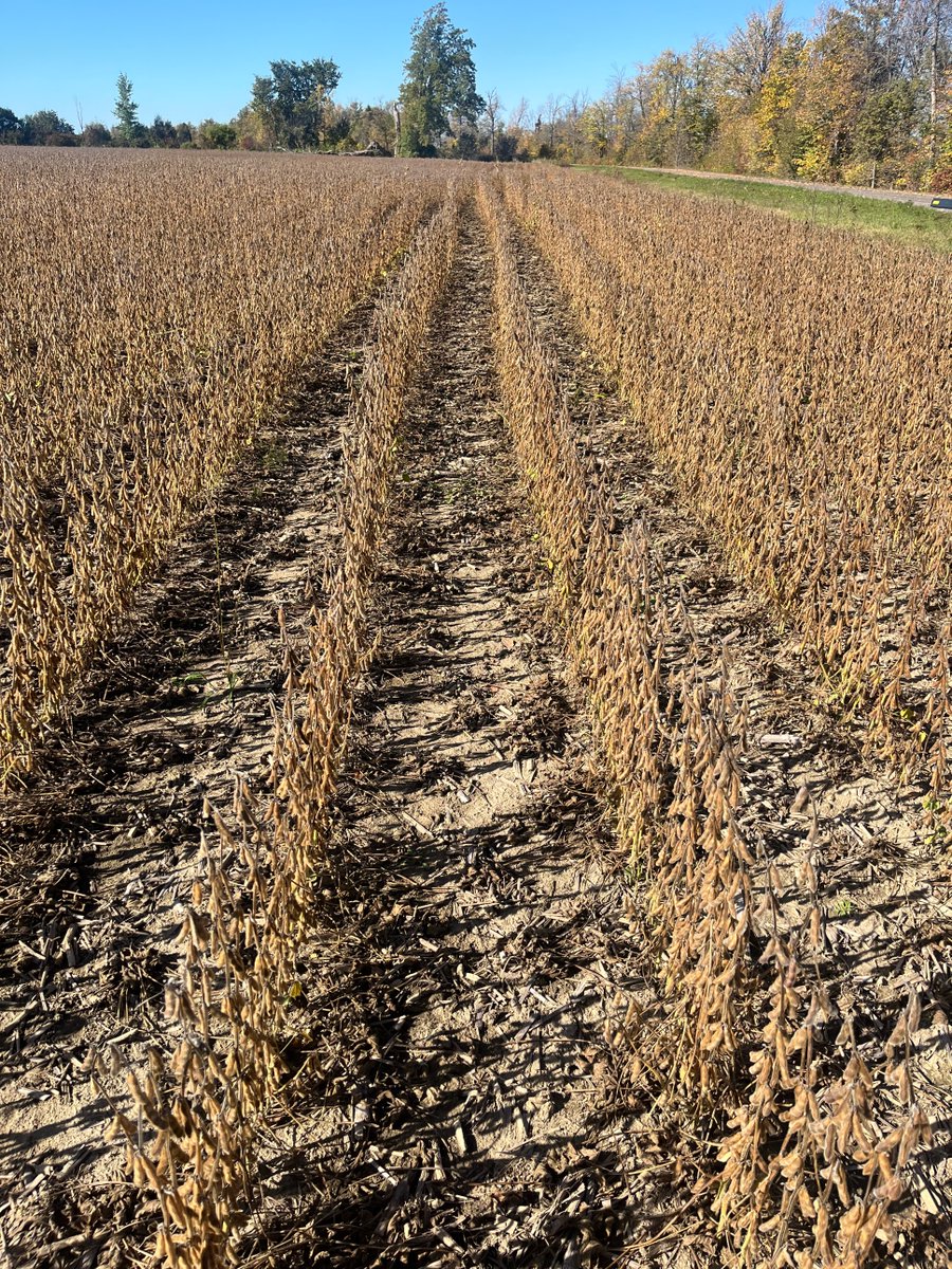 Keith Wells tweet media