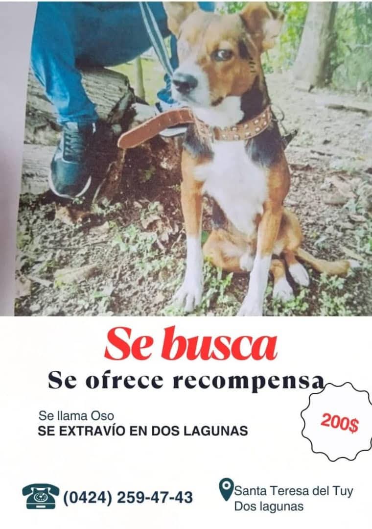 Su familia lo sigue buscando en Santa Teresa del Tuy