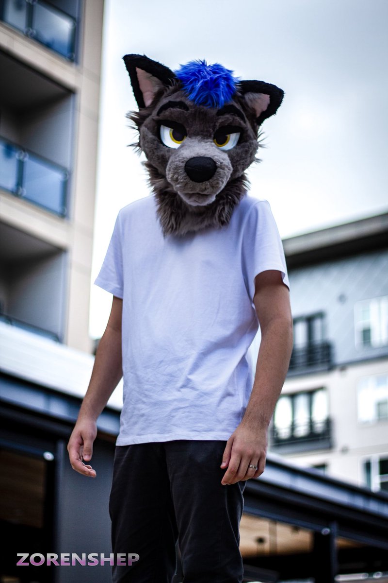 Dingo 🔜 TFF tweet media