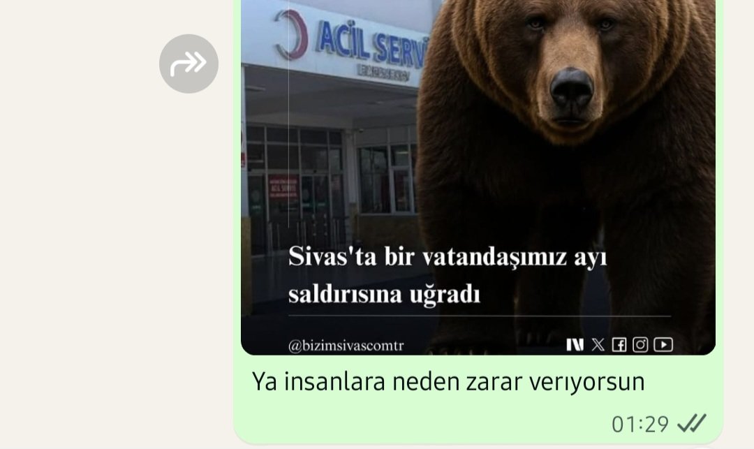 Hayır kızım bırak insanlara bulaşmayıı