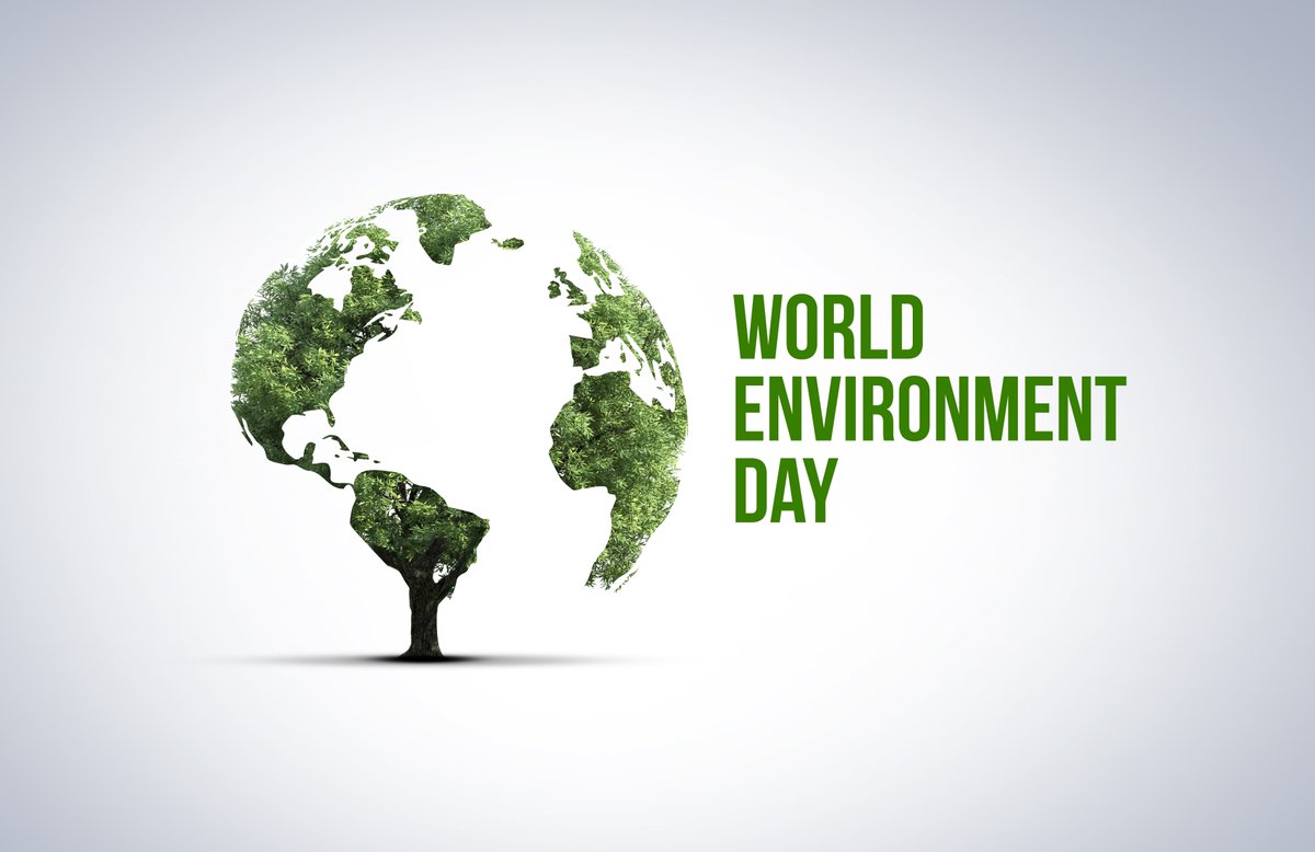 ATOMSplacement's tweet photo. On this #WorldEnvironmentDay, we honor STEM educators for igniting curiosity &amp; empowering students to create innovative solutions for a healthier planet.

Thanks for planting seeds of knowledge that grow into solutions for our future!

#TeachingJobs #IndySchools #ATOMSPlacement https://t.co/ItmVozNPO4
