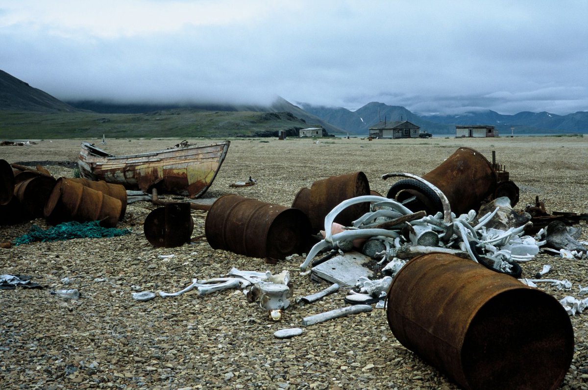 Microscope Gallery tweet media