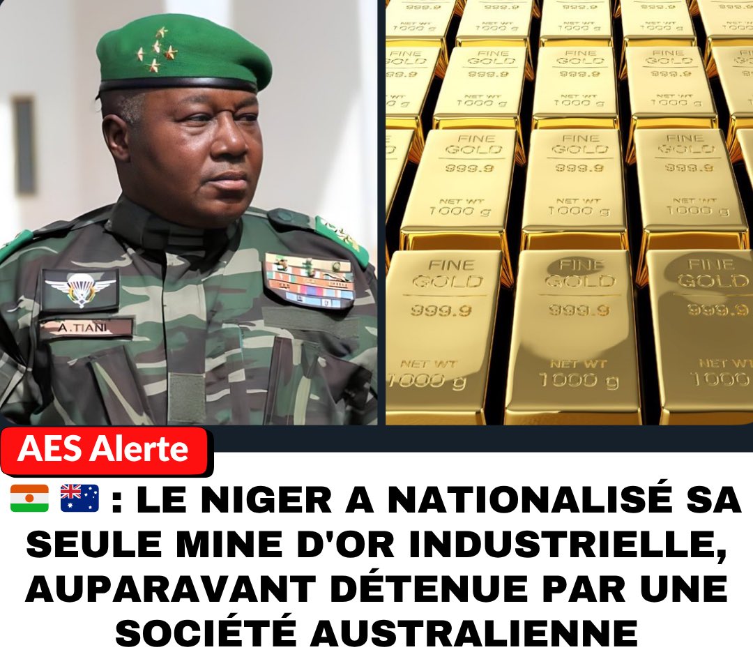 🌍 Tant qu’un pays africain est exploité, il est “allié” et “ami”. Mais dès qu’il ose dire que ses richesses appartiennent aux Africains, il devient “hostile” et son dirigeant un “tyran”.