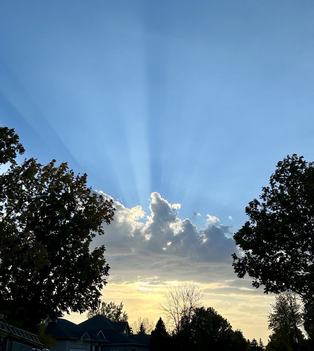 Ken Burton tweet media