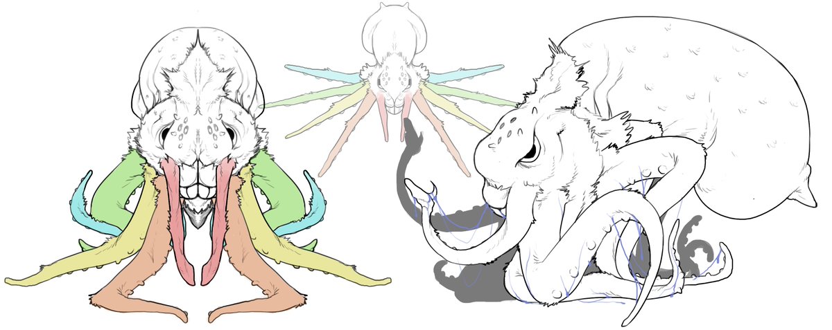 SPIROGYRA tweet media