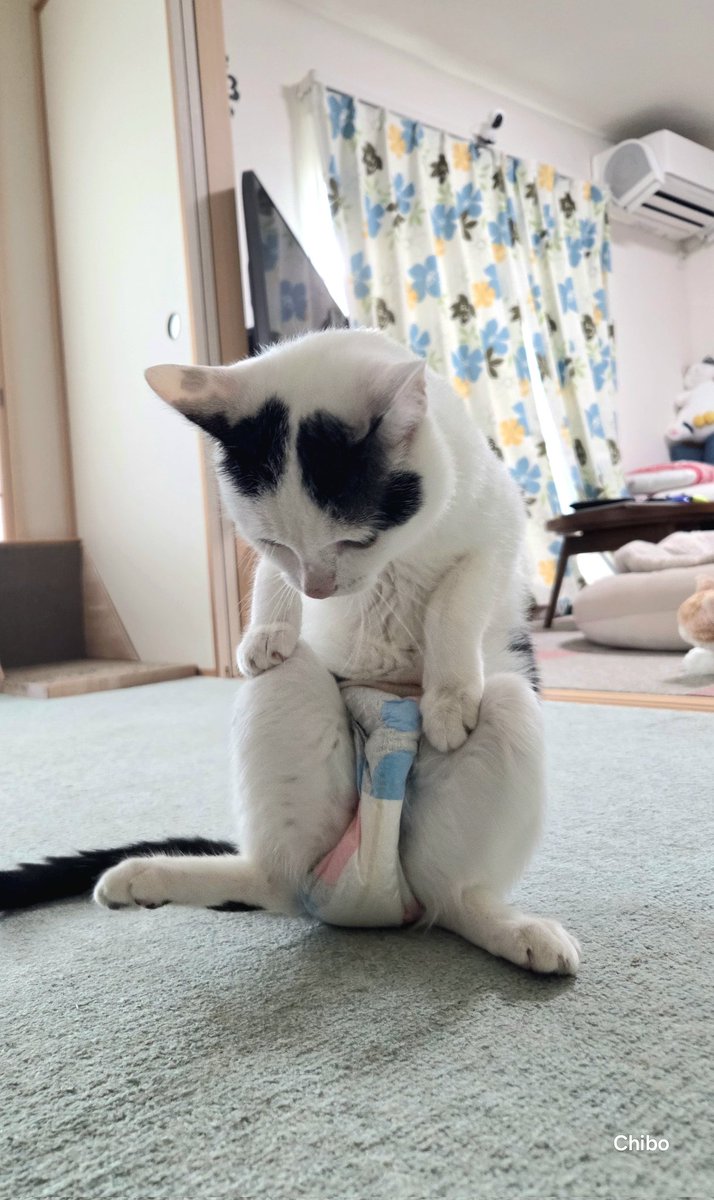 膝と内腿の違いを説明してくれてる