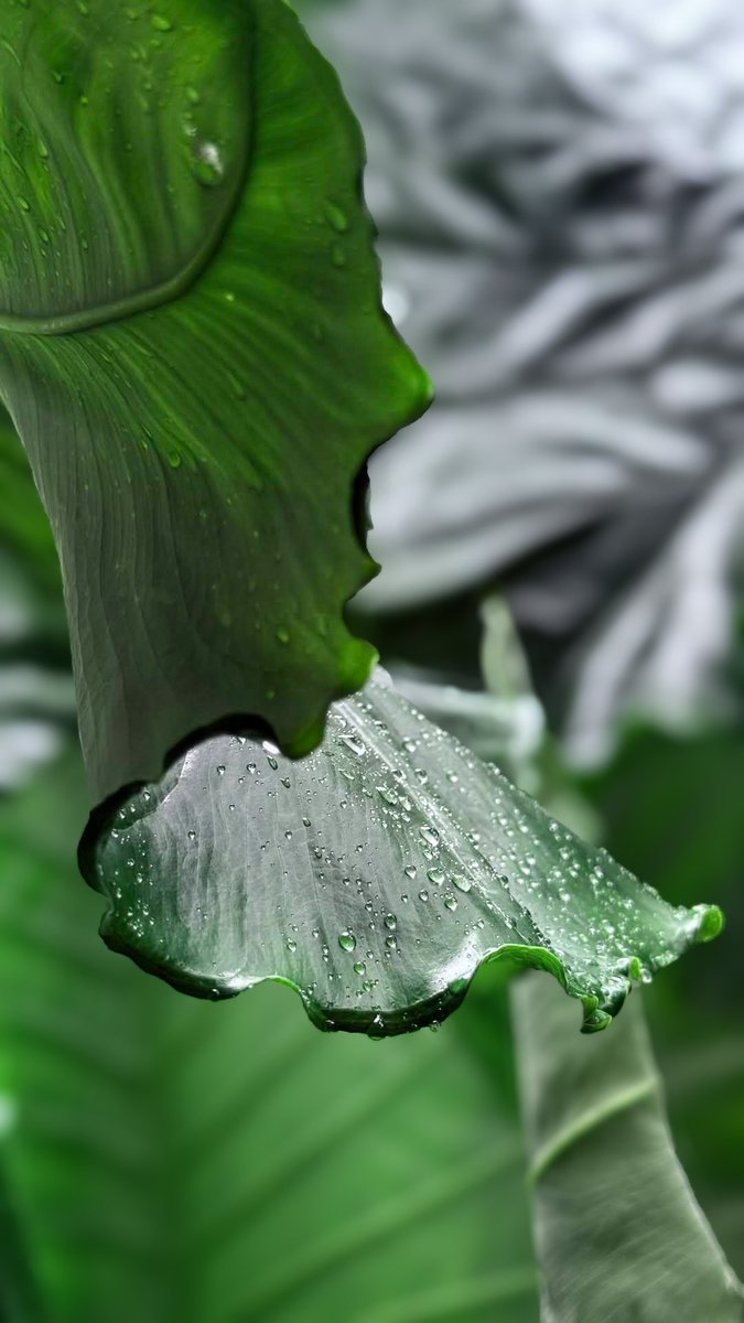 Atar Zhu (@atarzhu) on Twitter photo 