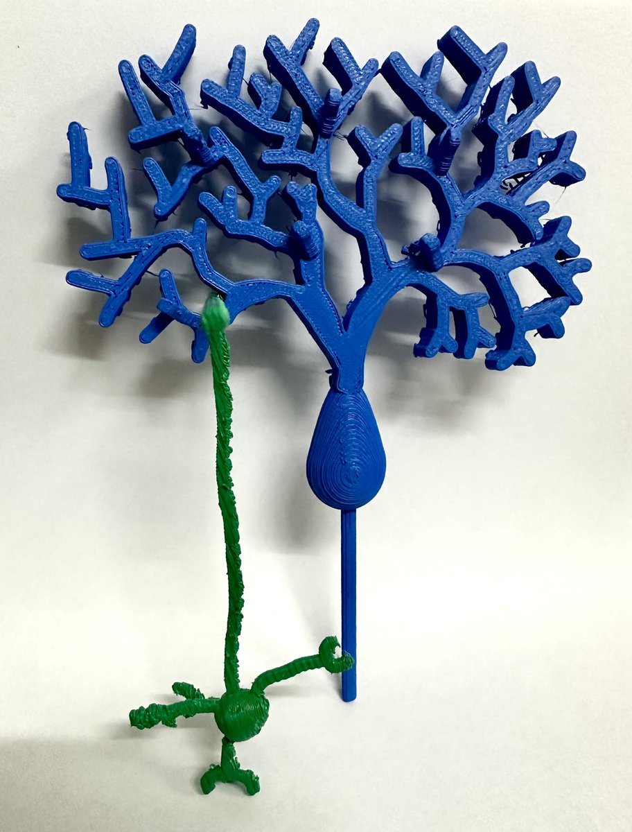 Ernesto Miquel tweet media