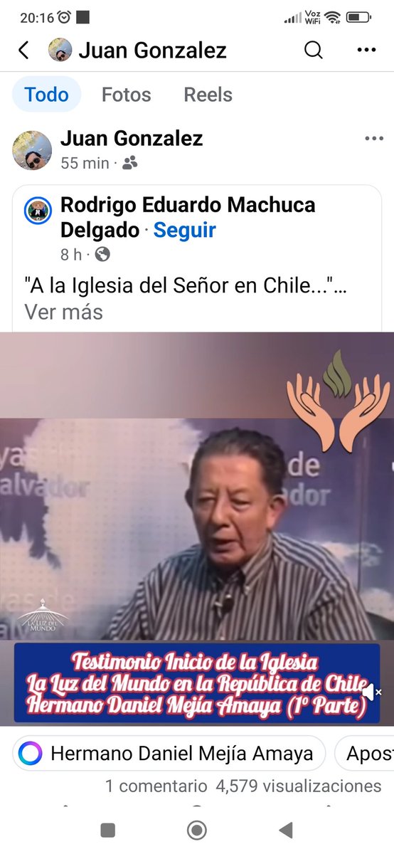 pedro macho tweet media