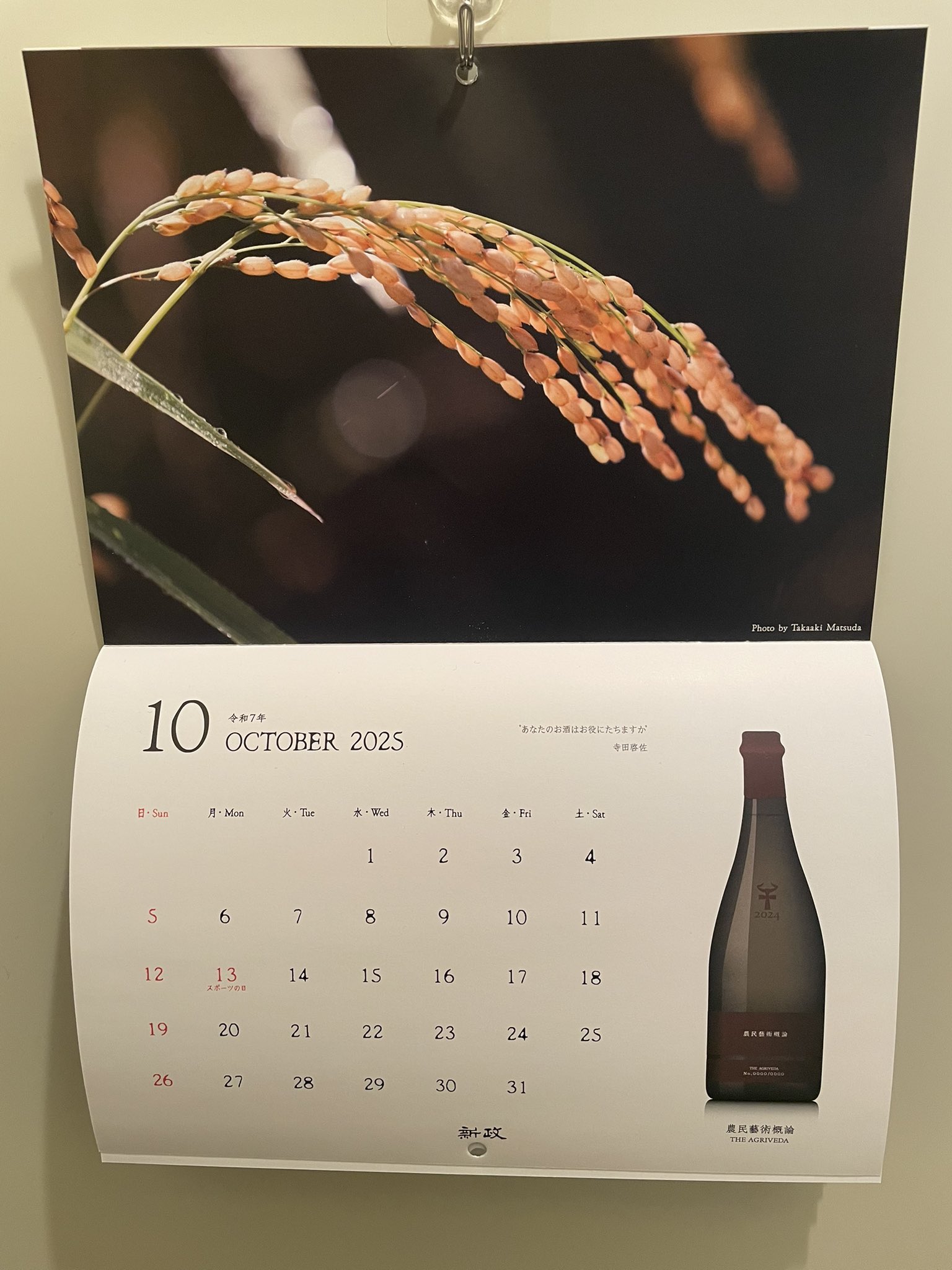 新政　とわずがたり　2015　追悼酒　日本酒 新政 - 新政 とわずがたり 2015 追悼酒 日本酒 新政 とわずが