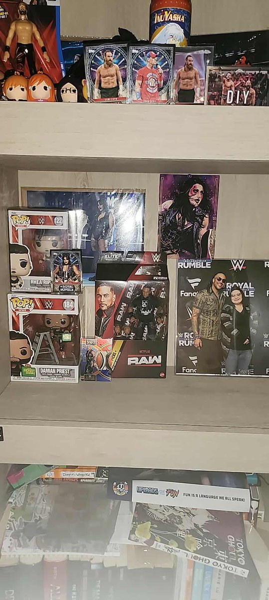 I found a Damian Priest figure at Walmart 
Had to rearrange 
And now I have a "Terror Twins" shelf