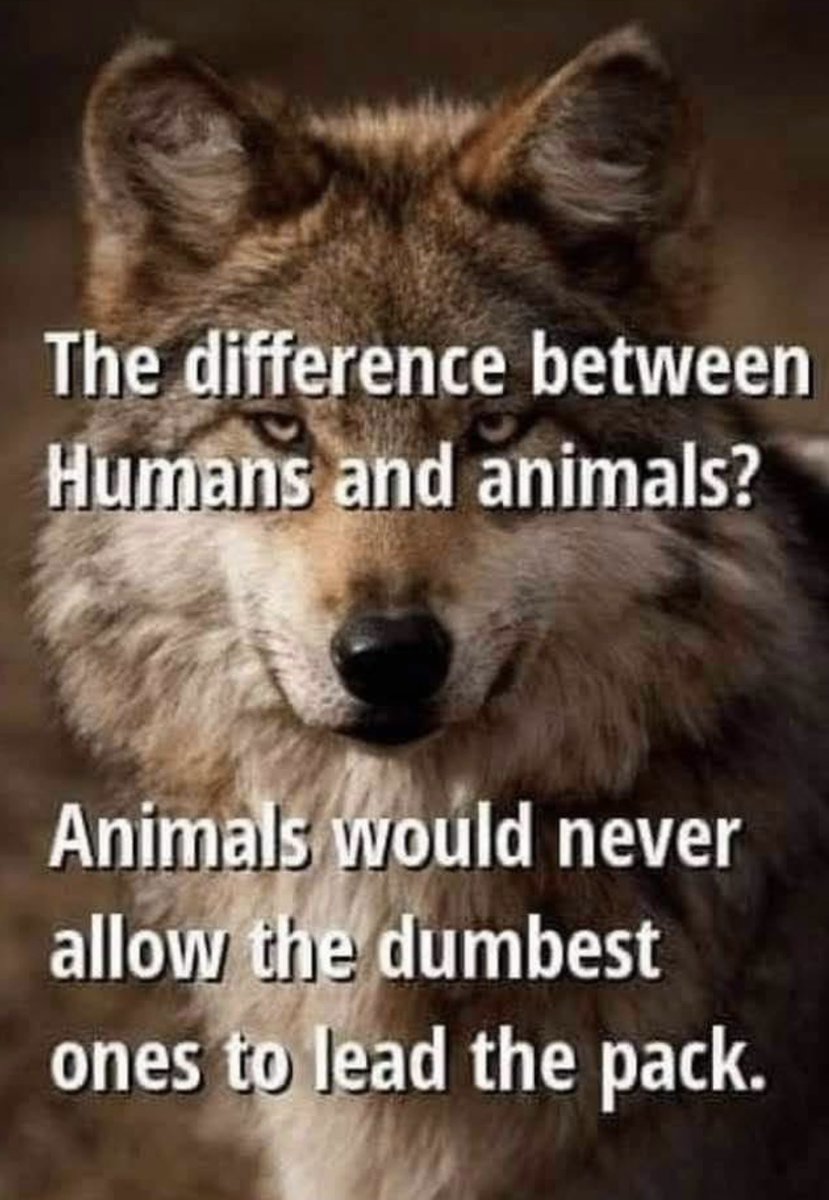 Helena Villegas tweet media