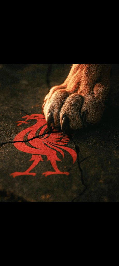 hrygtt's tweet photo. good bye liverpool https://t.co/or3BH8FSc4