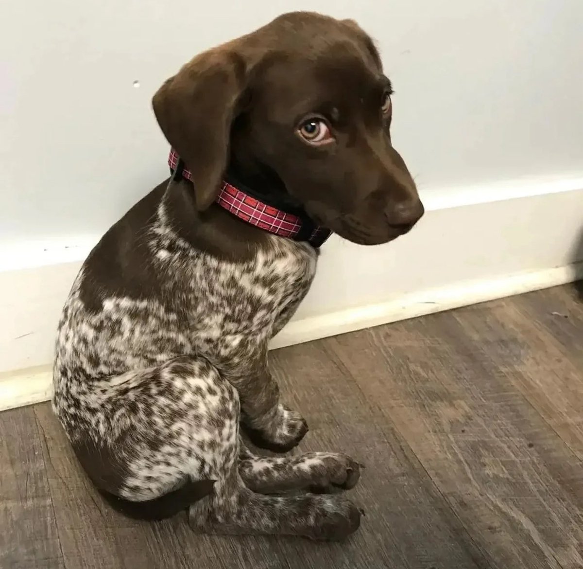 Baby needs a chocolatey name