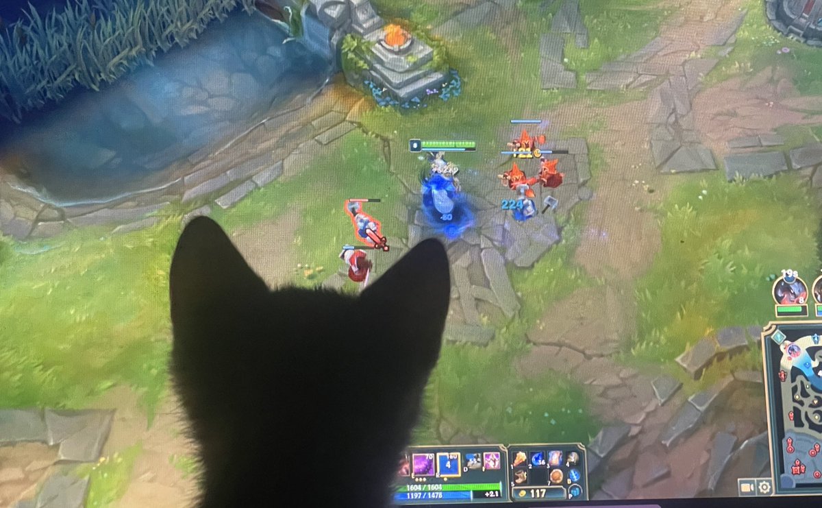 miasmaofn1ght's tweet image. my son likes kassadin