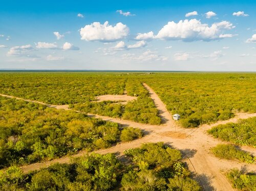 RanchWork's tweet photo. Ranch Hand / Hunting Guide needed at Hunting Ranch near Uvalde, Texas ~ $36k-$48k
https://t.co/lW9JuvQyRf https://t.co/VSQSgrv2zL