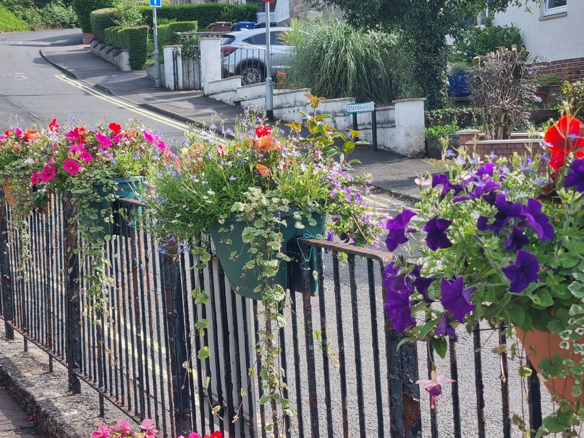 Blooming Inverkip tweet media