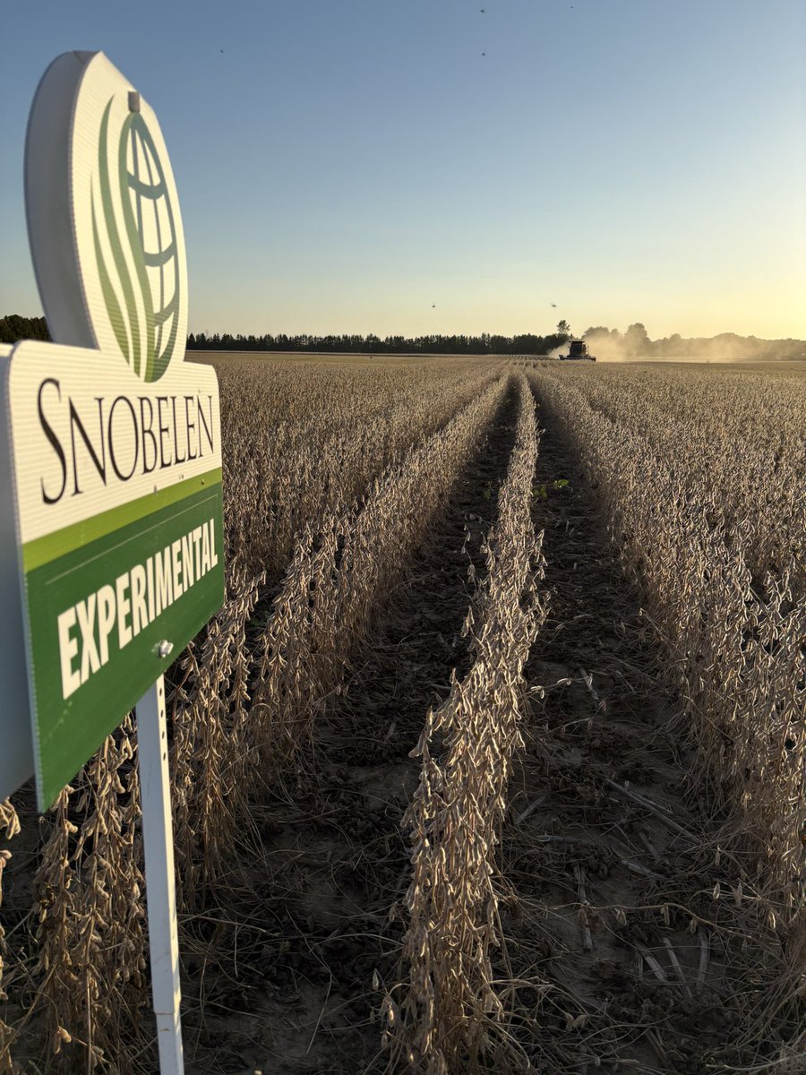 Ryan Snobelen tweet media