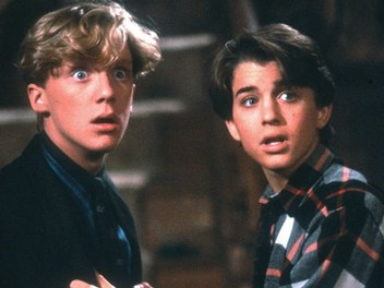 Gain-of-funions tweet media