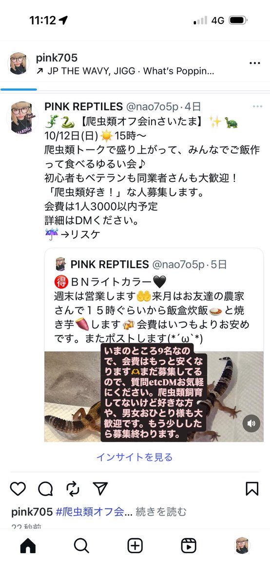 ゆきんこ 爬虫類リクエスト品 61L9tp0mIQL.jpg_BO30,255,255,