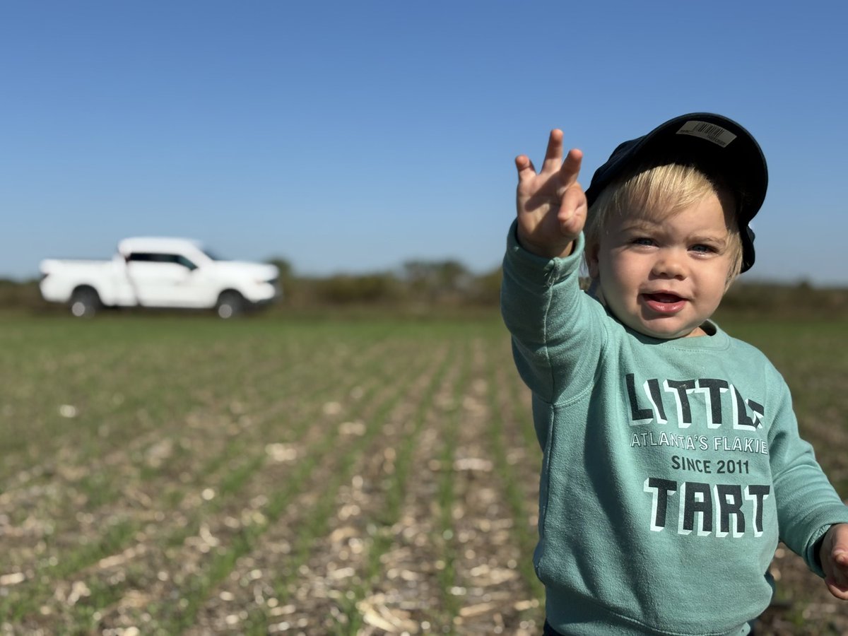 All hands on deck this harvest season! Wheat planted in the last week or two has come up beautifully, and lots of time for fall weed control 😎🌾 #ontag