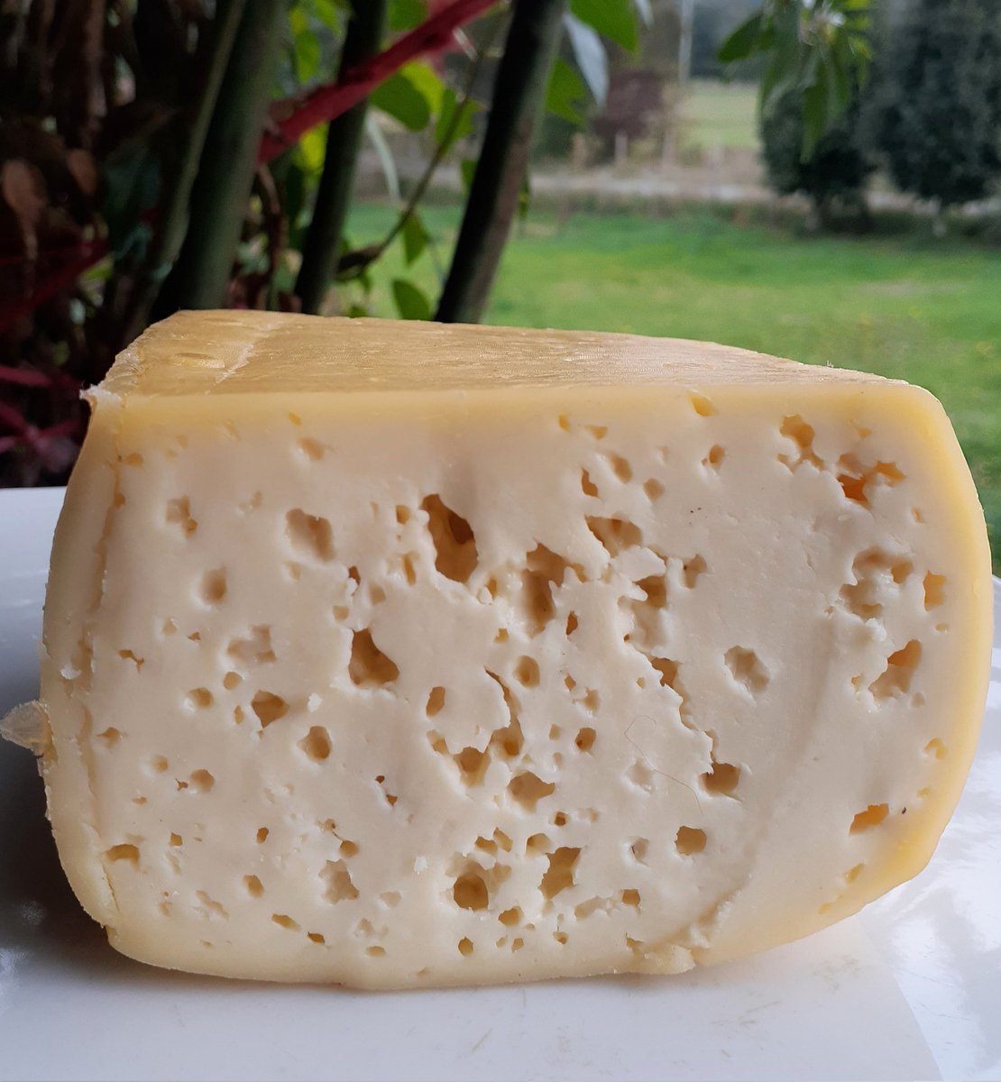 VanePau77's tweet photo. Hola¡  Como cada mes vengo a promocionar mi super queso  sureño. 🧀
Queso mantecoso delicioso y suave sabor.  Se entrega en Santiago  desde la próxima semana   Valor $12.000
 (1 kilo aprox) 

Les agradezco mucho el rt. Y comentarios 💕 https://t.co/OLkBR0j8bh