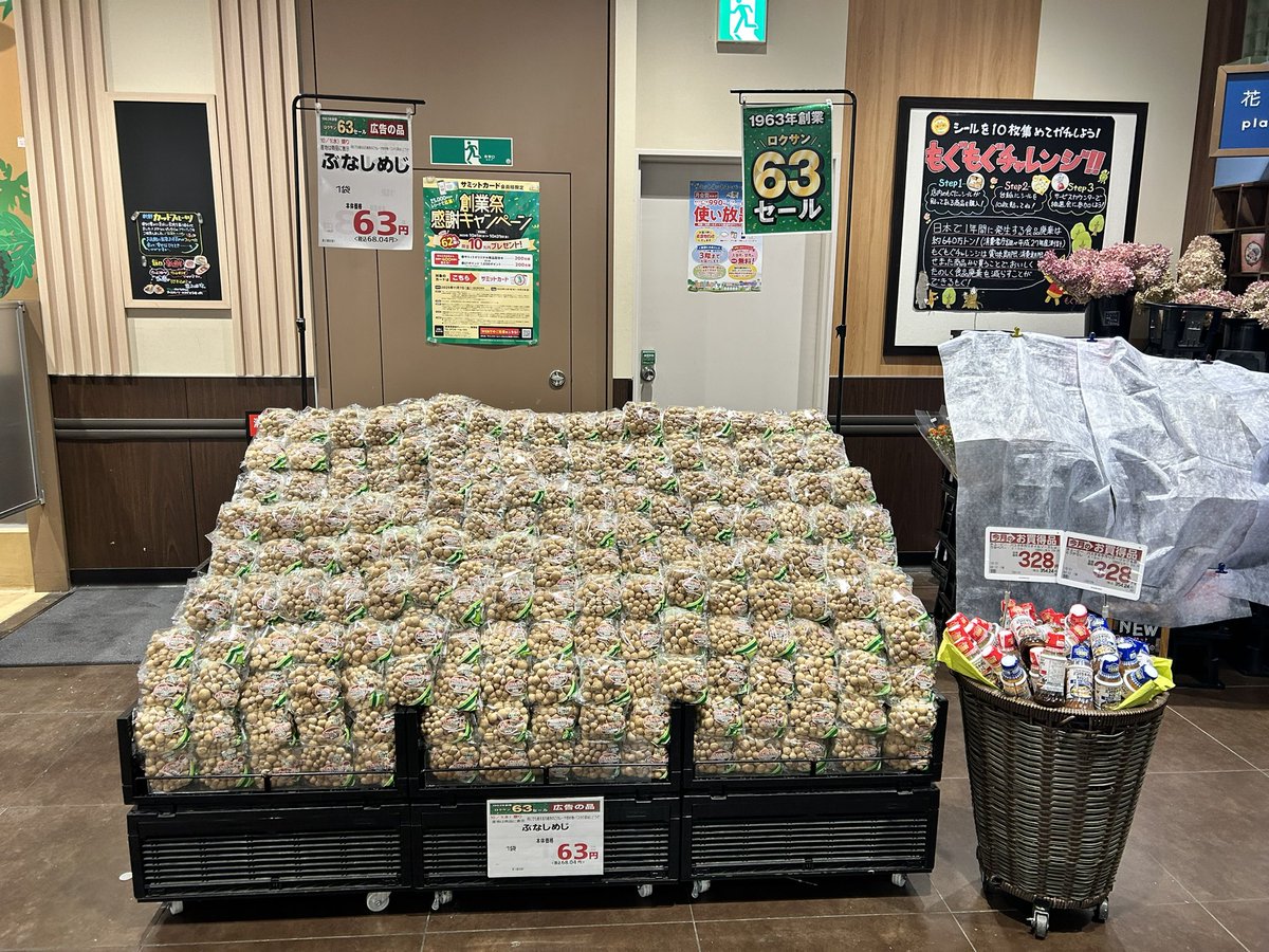 156summitstore's tweet photo. おはようございます😄青果担当です❗️
本日は1963年創業にちなみまして63円・630円セールを実施中です‼️

青果部門からは4商品が63円、1商品が630円と「超特価」での販売となっています🍄‍🟫🥝🍊🍎

あいにくの天気☂️ではありますがご来店お待ちしております‼️‼️
#サミットストア野沢龍雲寺店
#63円 https://t.co/HYYJIKWUgH