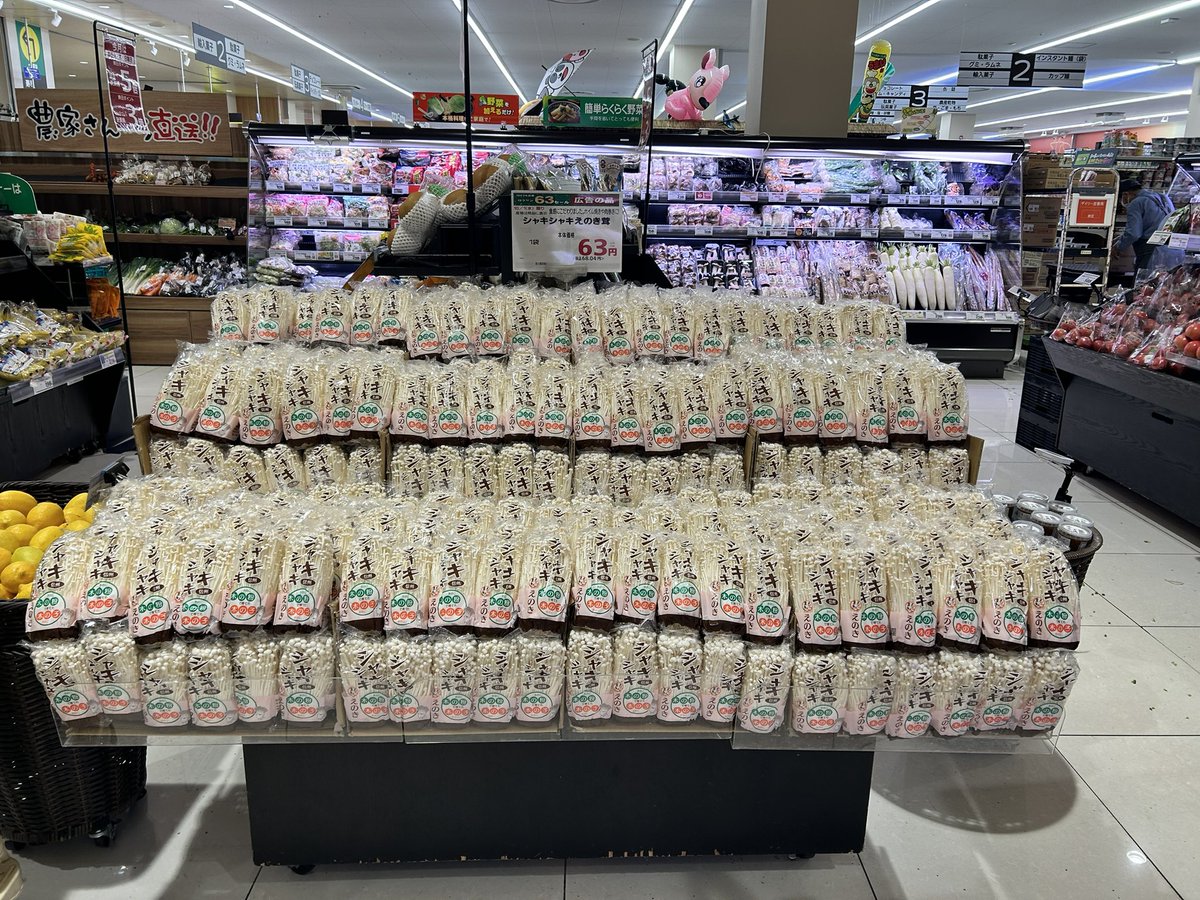156summitstore's tweet photo. おはようございます😄青果担当です❗️
本日は1963年創業にちなみまして63円・630円セールを実施中です‼️

青果部門からは4商品が63円、1商品が630円と「超特価」での販売となっています🍄‍🟫🥝🍊🍎

あいにくの天気☂️ではありますがご来店お待ちしております‼️‼️
#サミットストア野沢龍雲寺店
#63円 https://t.co/HYYJIKWUgH