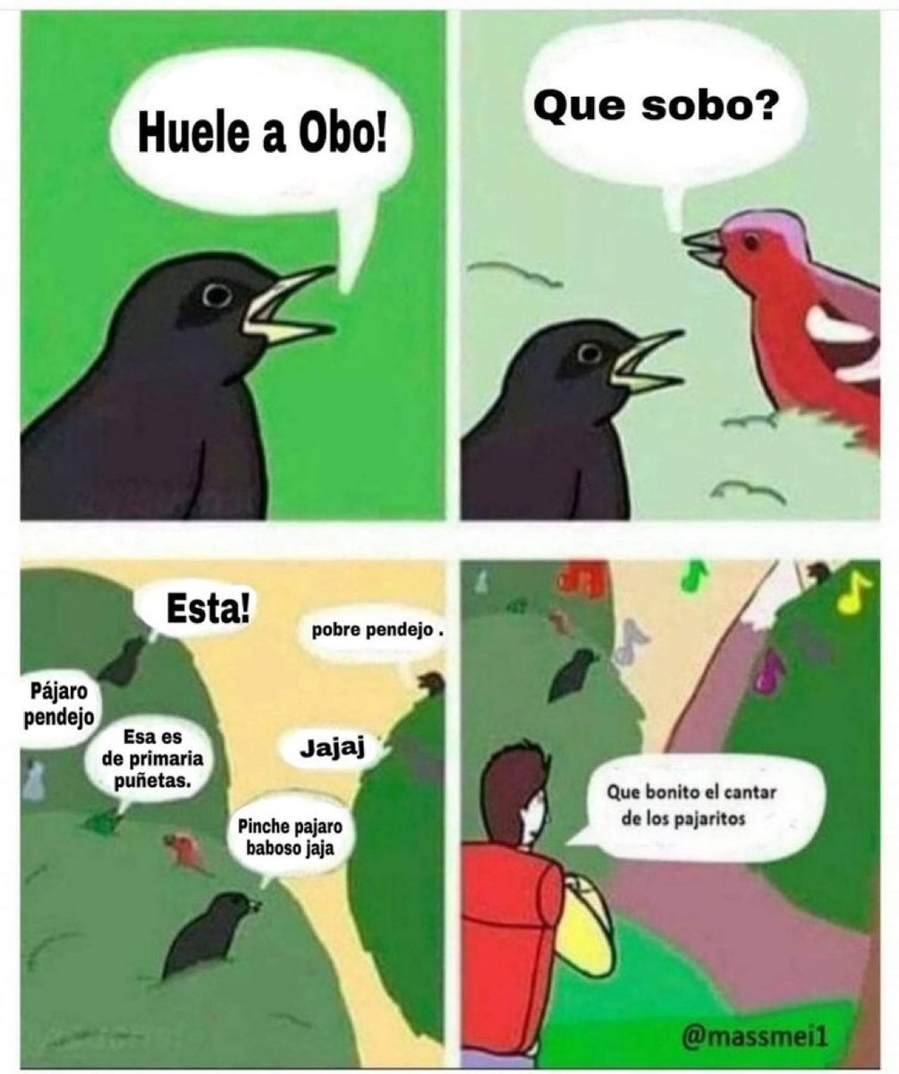 Horizonte Pop (@elhorizontepop) on Twitter photo 