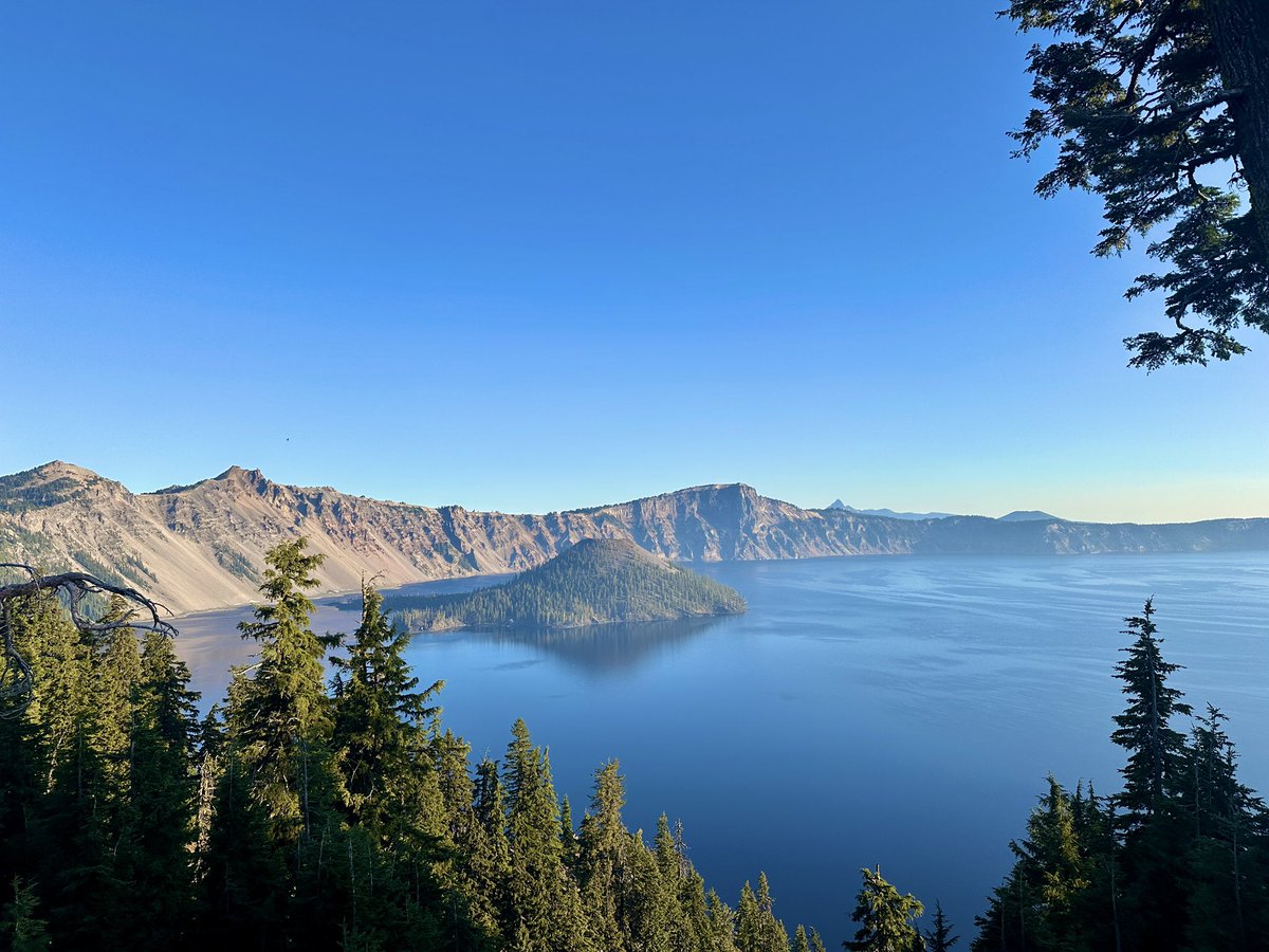 Laura Caba tweet media