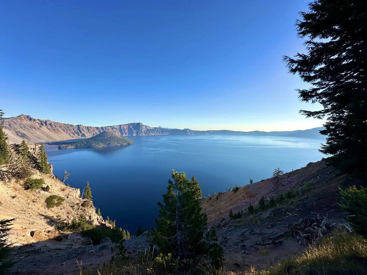 Laura Caba tweet media