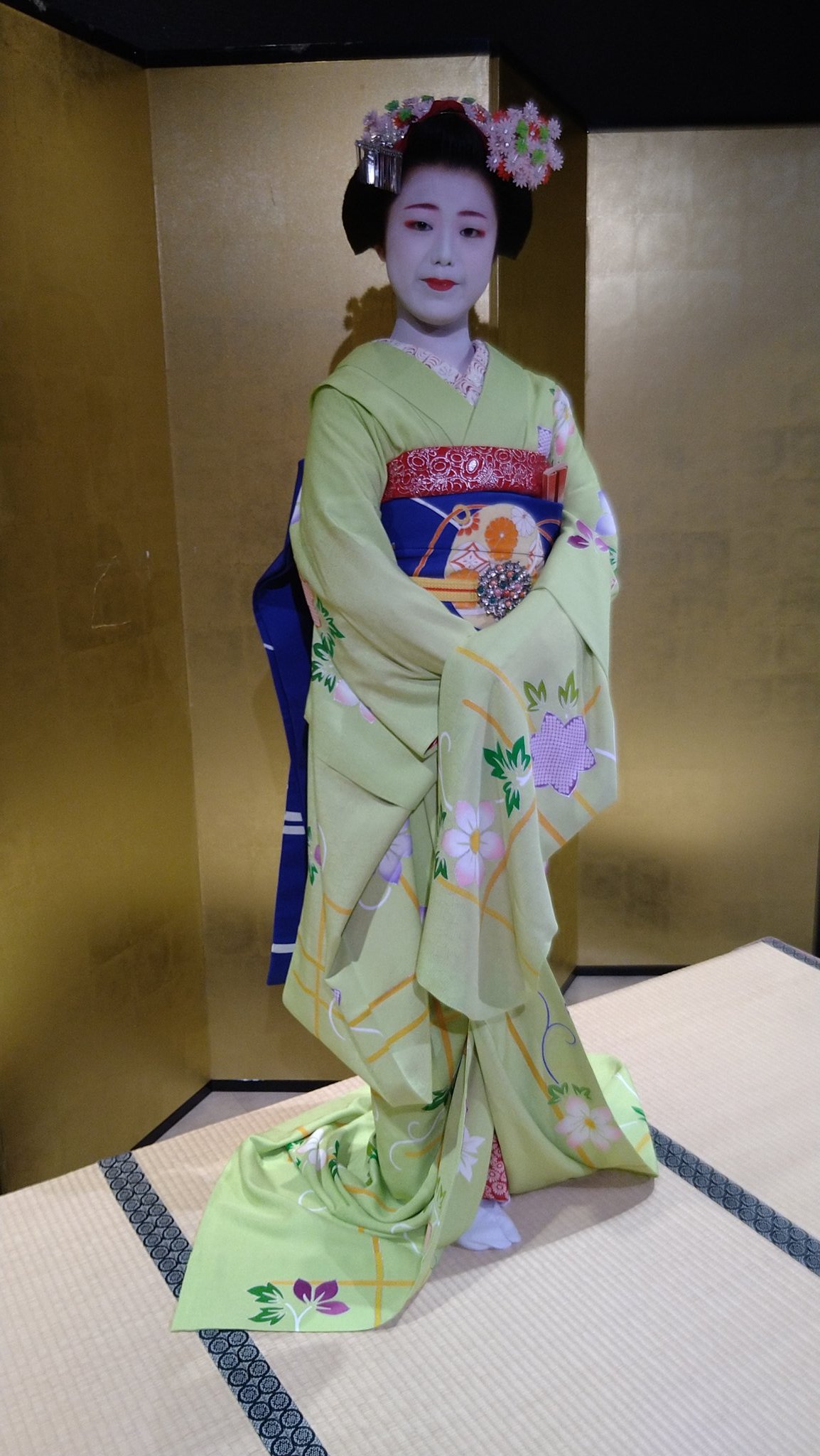 値下☆祇園京都♥オープニング・ピン☆ブラック等5点セット【花街・舞妓】ギター 夜の京都祇園 芸舞妓さんたちが行き交う花見小路を歩く Walking