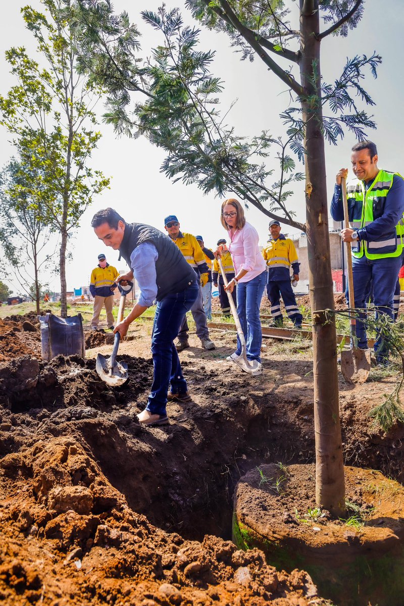 Plantan más de 300 árboles en el Parque Lineal Ferrocarril
#Durango durangos21.com.mx/2025/09/30/pla…